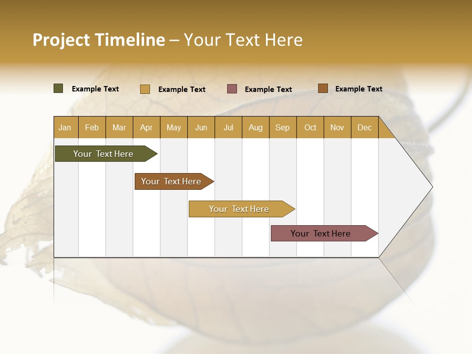 Background Waterlily Nelumbo_Nucifera PowerPoint Template