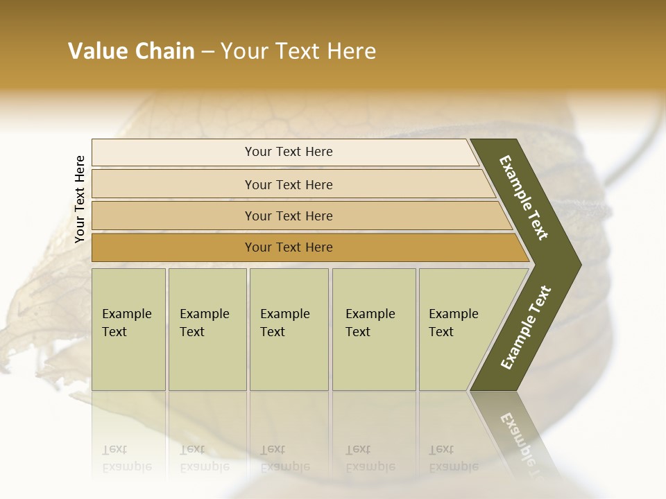 Background Waterlily Nelumbo_Nucifera PowerPoint Template