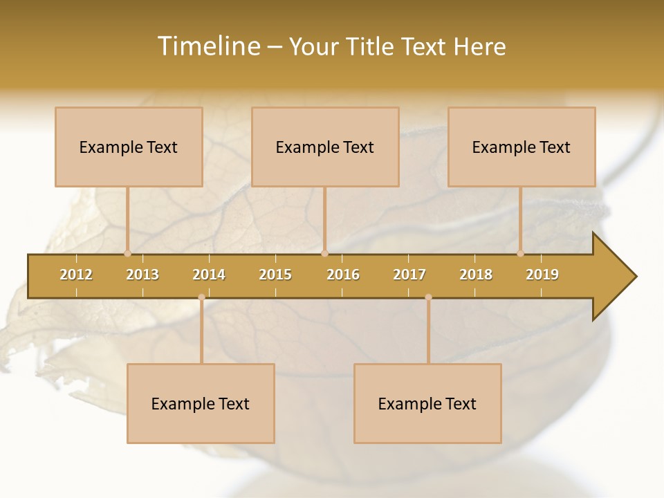 Background Waterlily Nelumbo_Nucifera PowerPoint Template