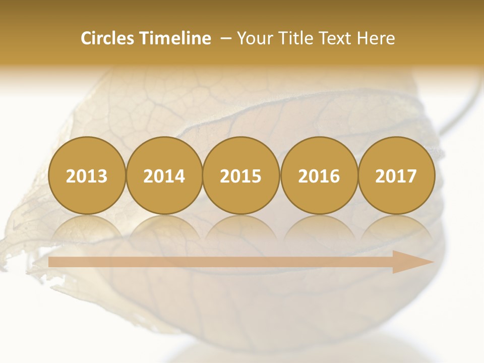 Background Waterlily Nelumbo_Nucifera PowerPoint Template