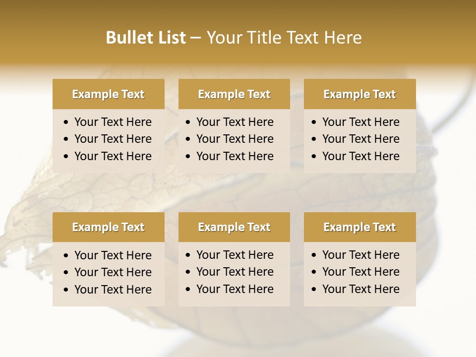 Background Waterlily Nelumbo_Nucifera PowerPoint Template