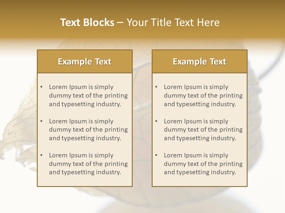 Background Waterlily Nelumbo_Nucifera PowerPoint Template