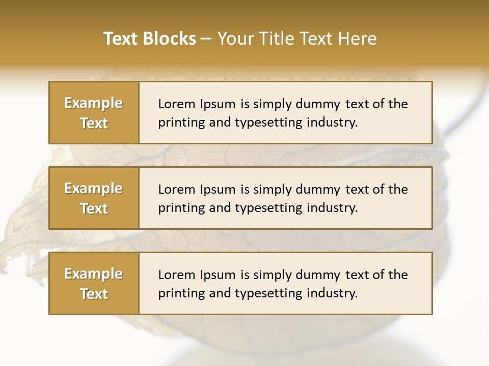 Background Waterlily Nelumbo_Nucifera PowerPoint Template