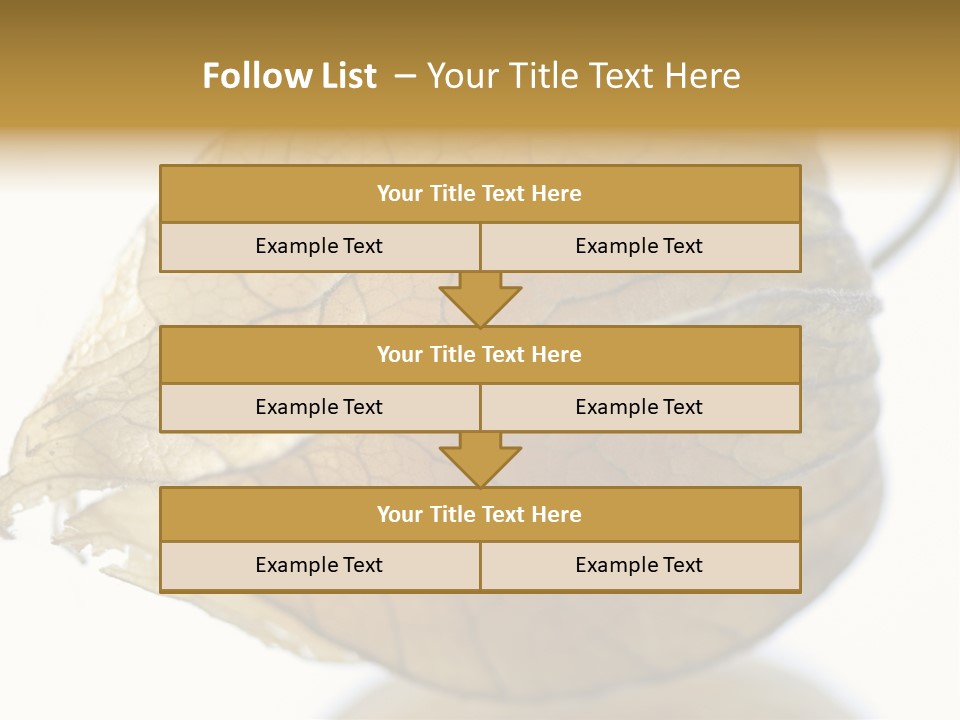 Background Waterlily Nelumbo_Nucifera PowerPoint Template