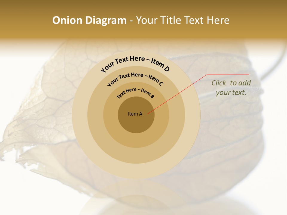 Background Waterlily Nelumbo_Nucifera PowerPoint Template