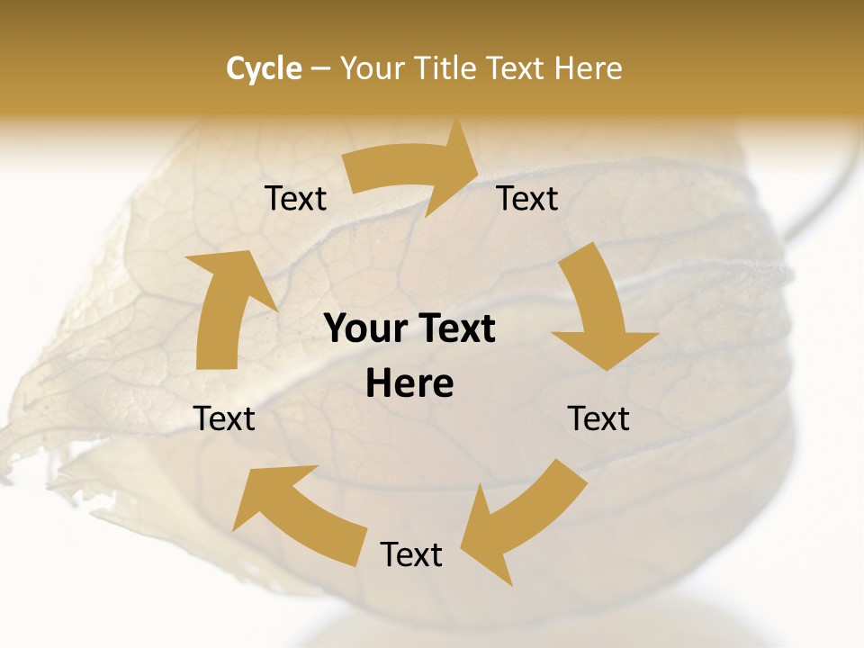 Background Waterlily Nelumbo_Nucifera PowerPoint Template