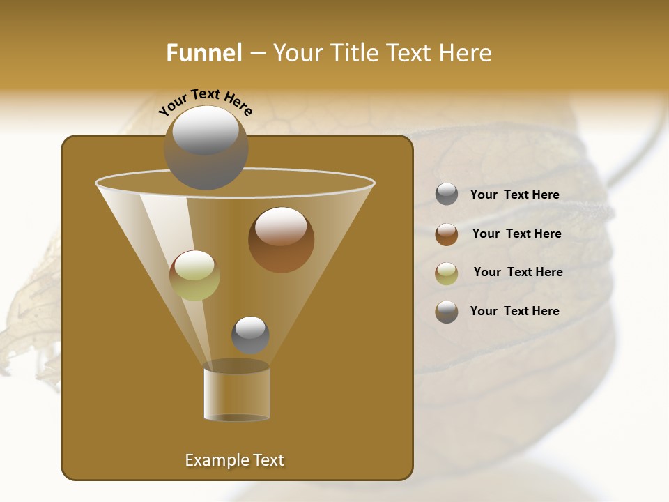 Background Waterlily Nelumbo_Nucifera PowerPoint Template