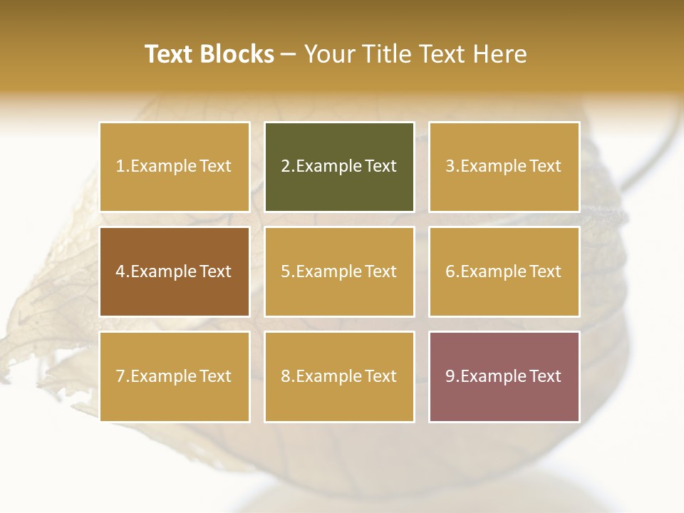 Background Waterlily Nelumbo_Nucifera PowerPoint Template