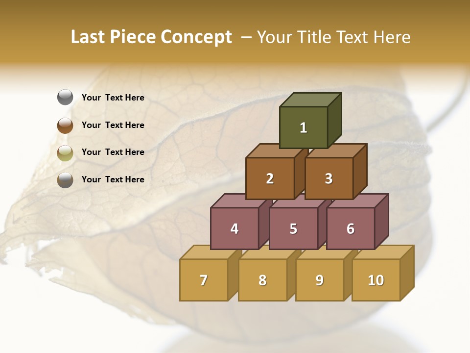 Background Waterlily Nelumbo_Nucifera PowerPoint Template