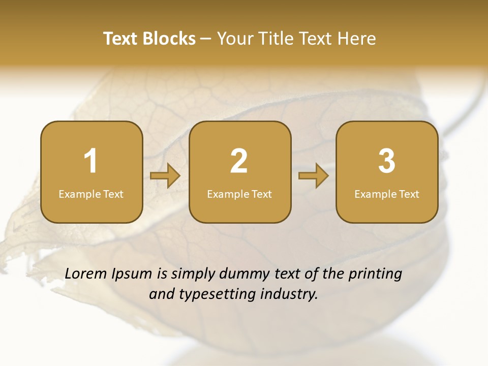 Background Waterlily Nelumbo_Nucifera PowerPoint Template