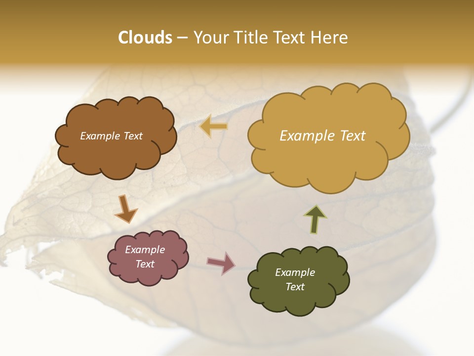 Background Waterlily Nelumbo_Nucifera PowerPoint Template