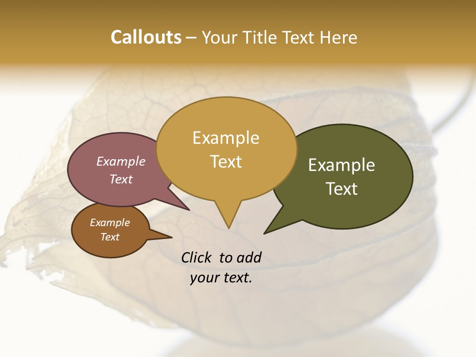 Background Waterlily Nelumbo_Nucifera PowerPoint Template