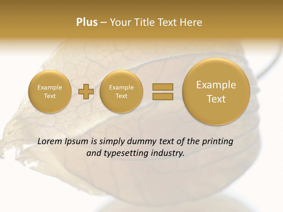Background Waterlily Nelumbo_Nucifera PowerPoint Template