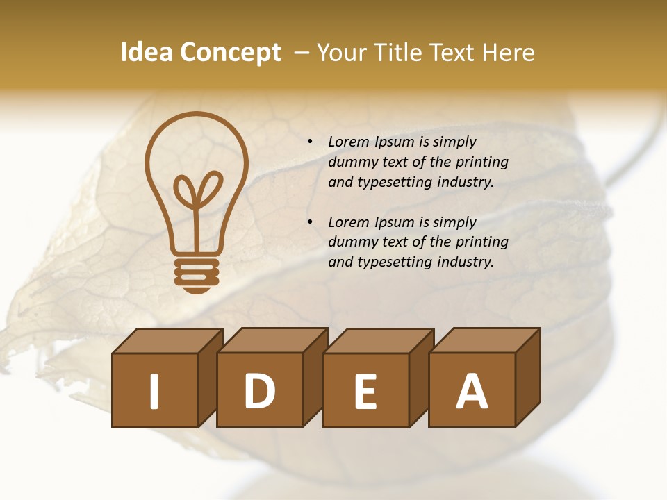 Background Waterlily Nelumbo_Nucifera PowerPoint Template