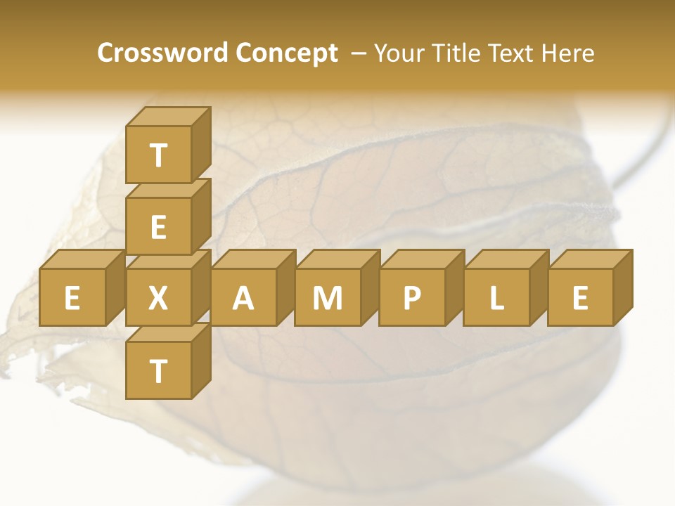 Background Waterlily Nelumbo_Nucifera PowerPoint Template