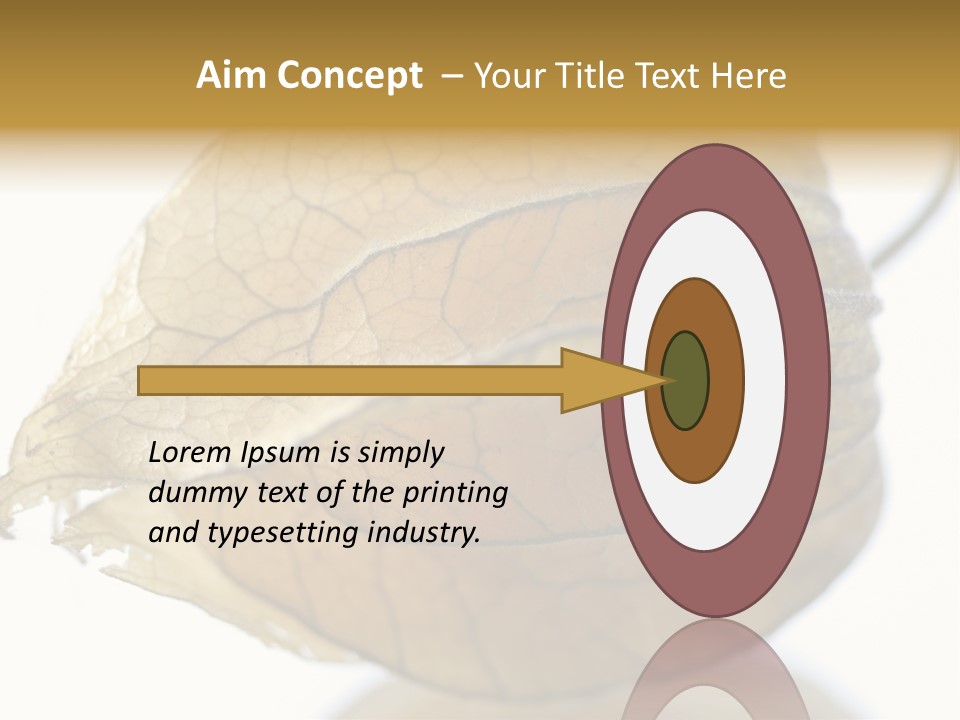 Background Waterlily Nelumbo_Nucifera PowerPoint Template