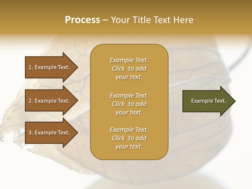 Background Waterlily Nelumbo_Nucifera PowerPoint Template