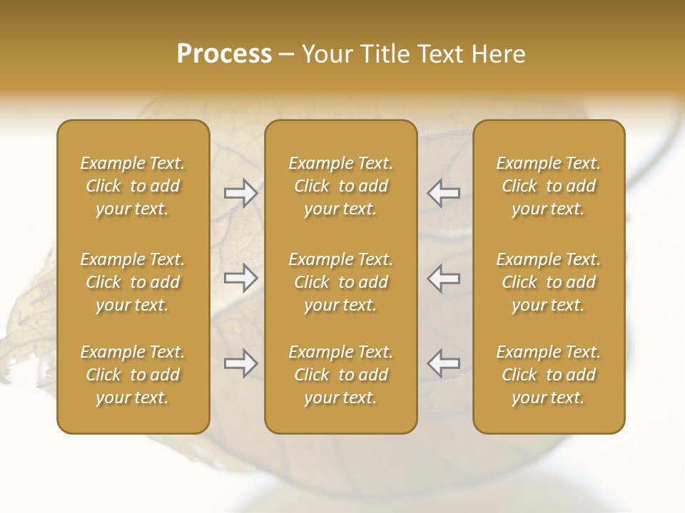 Background Waterlily Nelumbo_Nucifera PowerPoint Template
