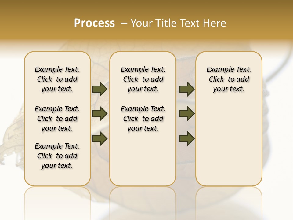 Background Waterlily Nelumbo_Nucifera PowerPoint Template