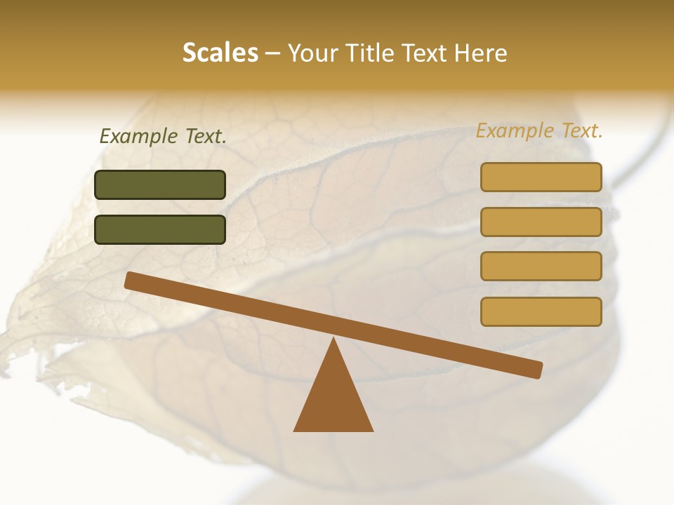 Background Waterlily Nelumbo_Nucifera PowerPoint Template