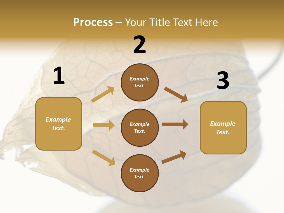 Background Waterlily Nelumbo_Nucifera PowerPoint Template