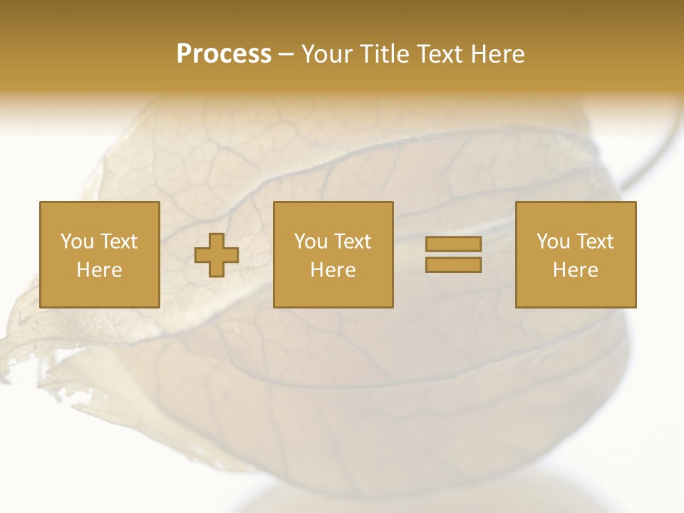 Background Waterlily Nelumbo_Nucifera PowerPoint Template