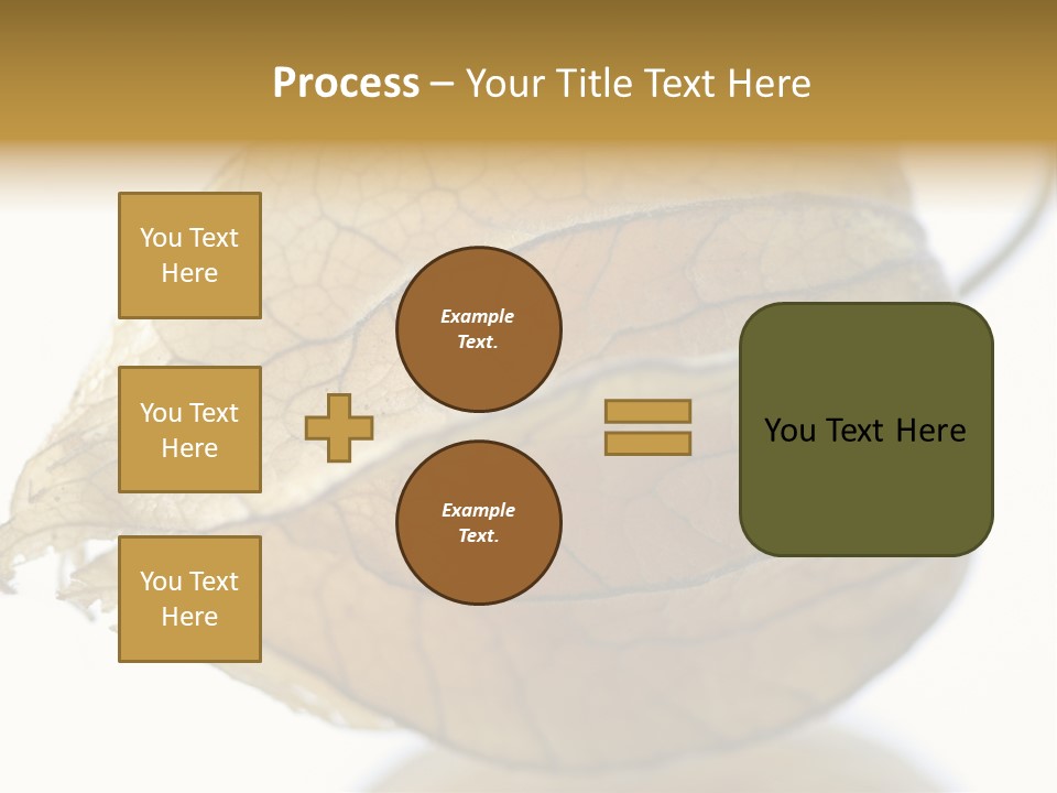 Background Waterlily Nelumbo_Nucifera PowerPoint Template