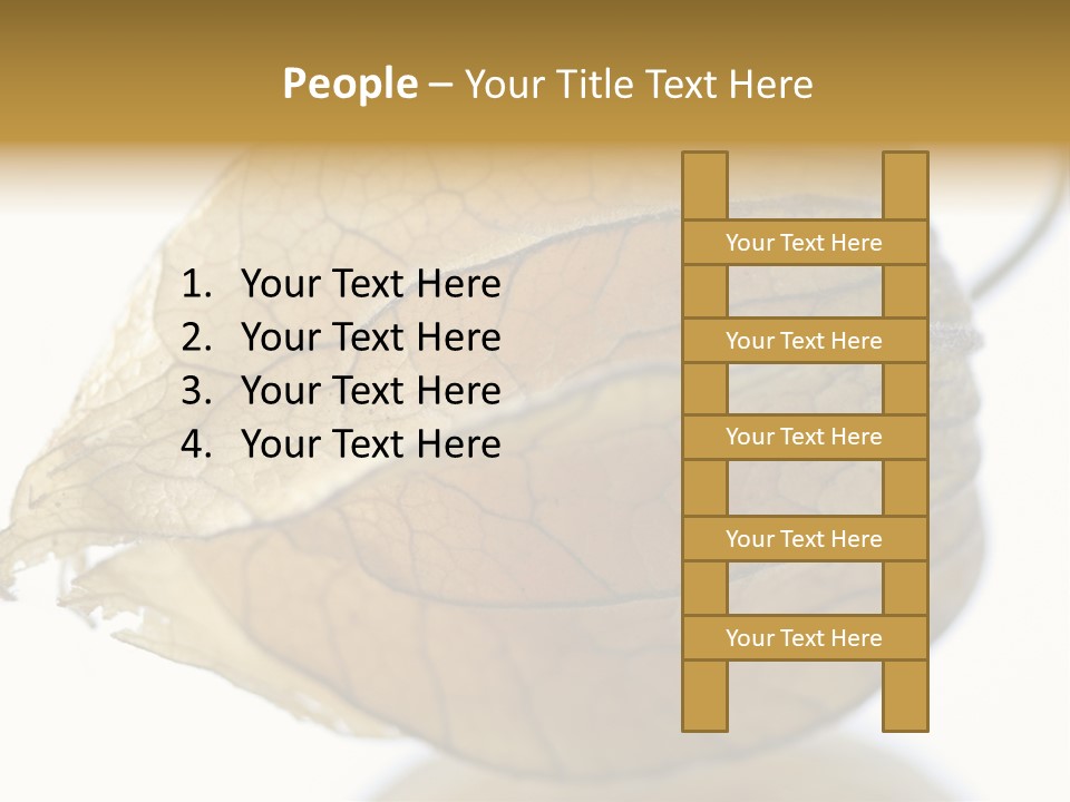 Background Waterlily Nelumbo_Nucifera PowerPoint Template