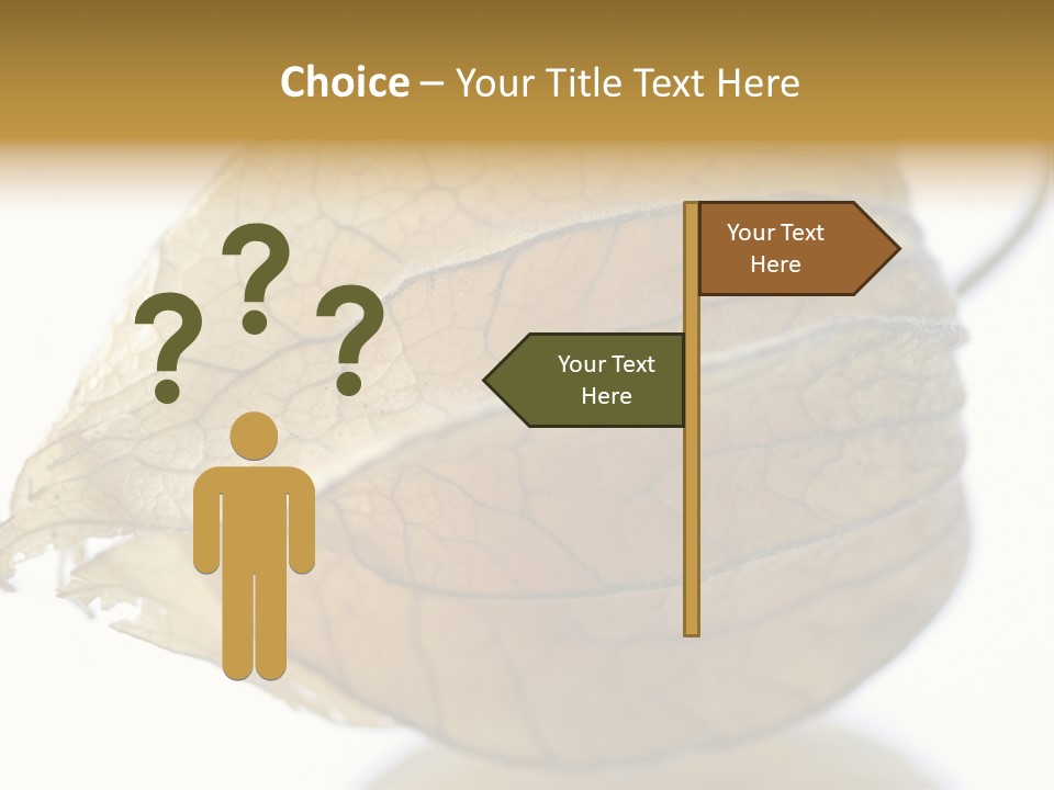 Background Waterlily Nelumbo_Nucifera PowerPoint Template