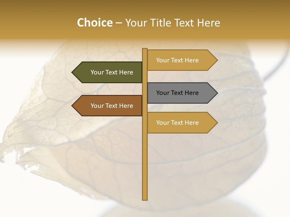 Background Waterlily Nelumbo_Nucifera PowerPoint Template