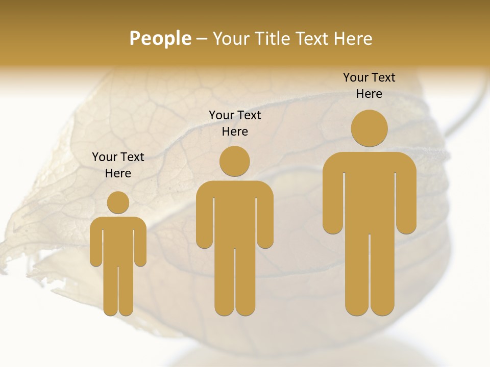 Background Waterlily Nelumbo_Nucifera PowerPoint Template