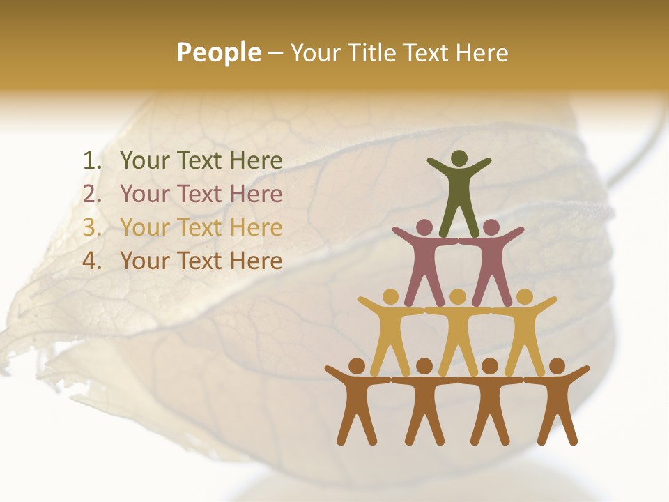 Background Waterlily Nelumbo_Nucifera PowerPoint Template