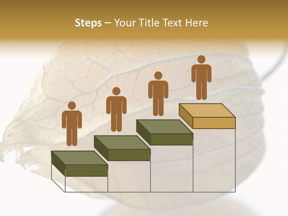 Background Waterlily Nelumbo_Nucifera PowerPoint Template