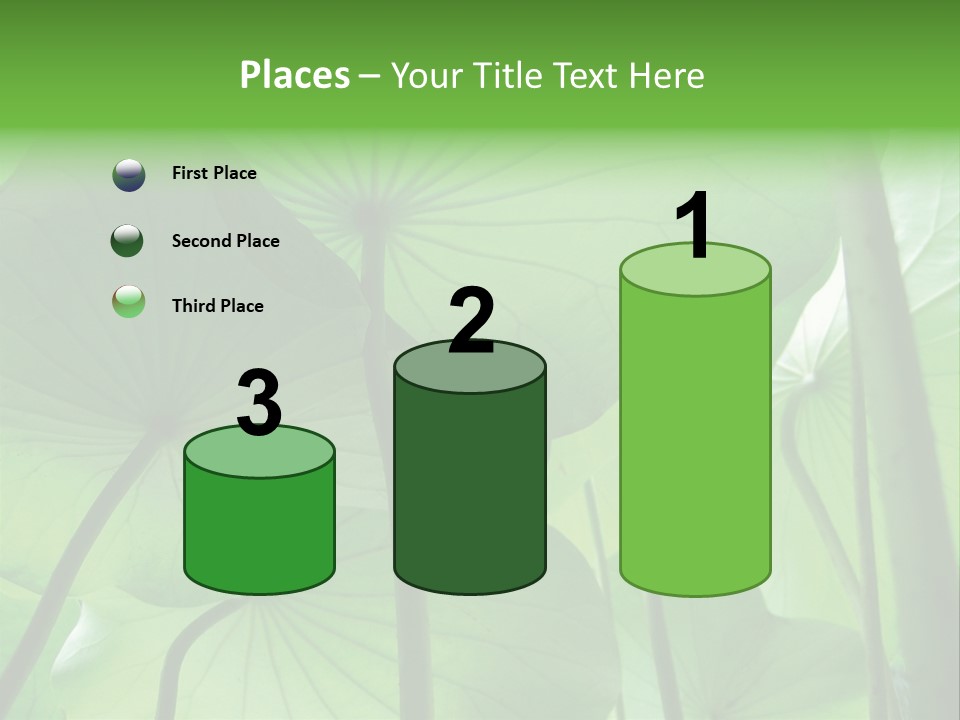 Background Waterlily Nelumbo_Nucifera PowerPoint Template