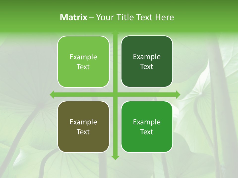 Background Waterlily Nelumbo_Nucifera PowerPoint Template