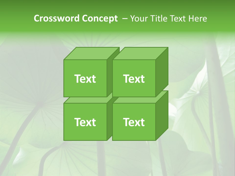 Background Waterlily Nelumbo_Nucifera PowerPoint Template