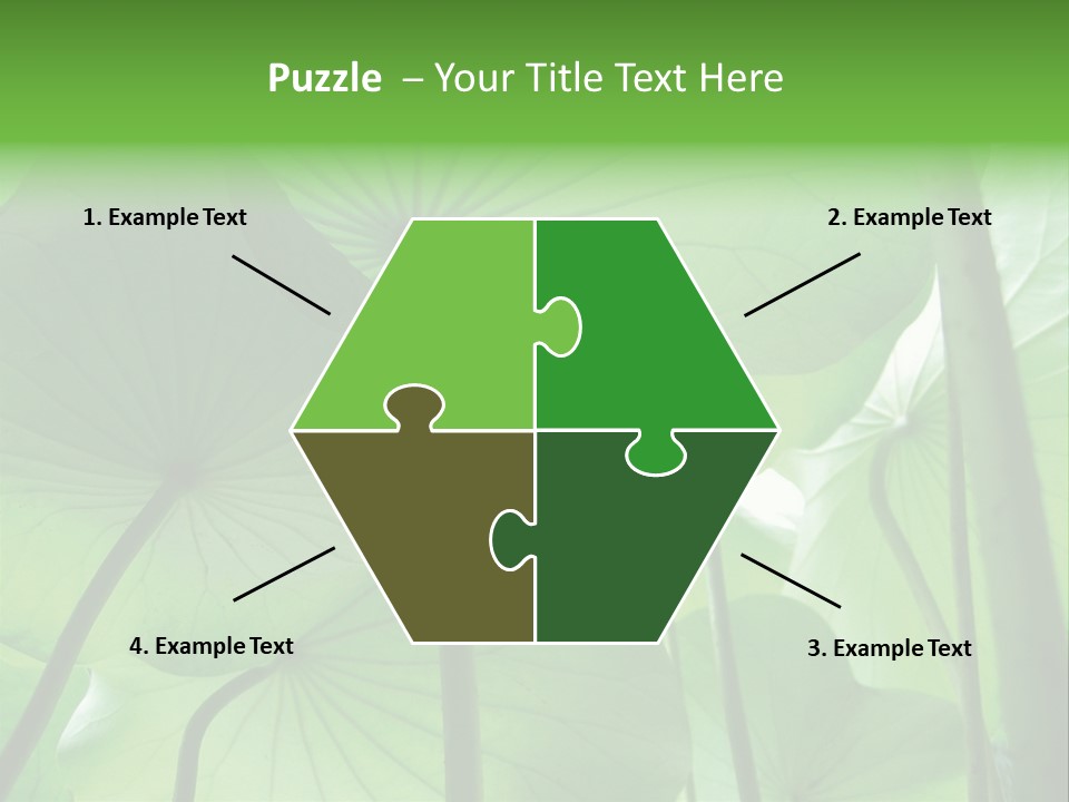 Background Waterlily Nelumbo_Nucifera PowerPoint Template