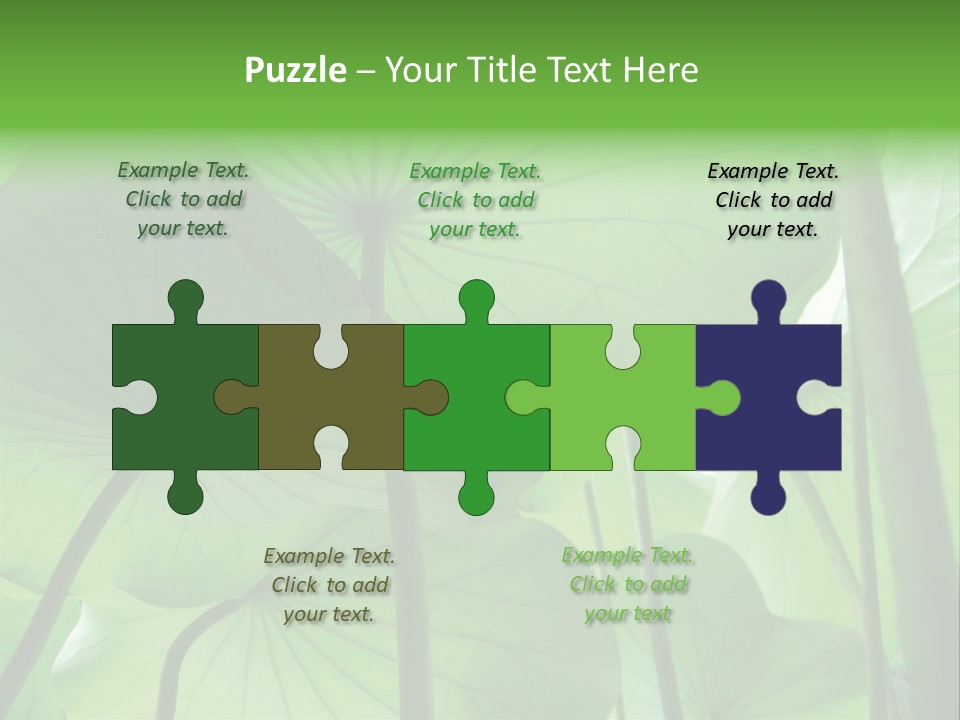 Background Waterlily Nelumbo_Nucifera PowerPoint Template