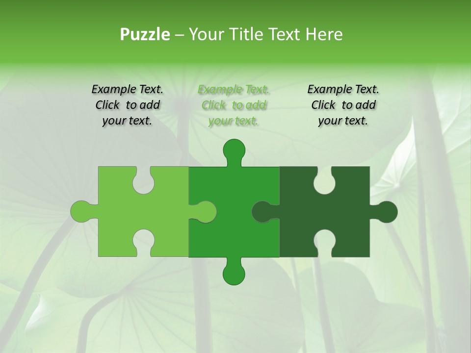 Background Waterlily Nelumbo_Nucifera PowerPoint Template