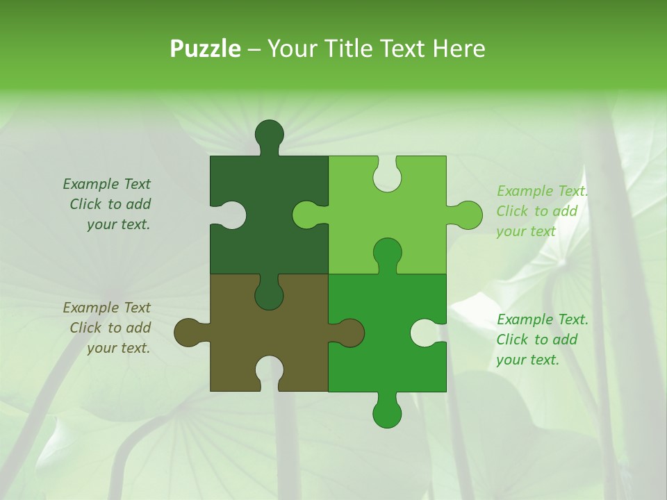 Background Waterlily Nelumbo_Nucifera PowerPoint Template