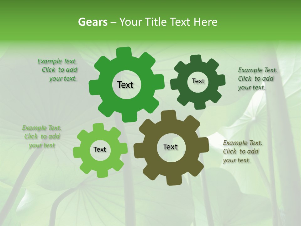 Background Waterlily Nelumbo_Nucifera PowerPoint Template