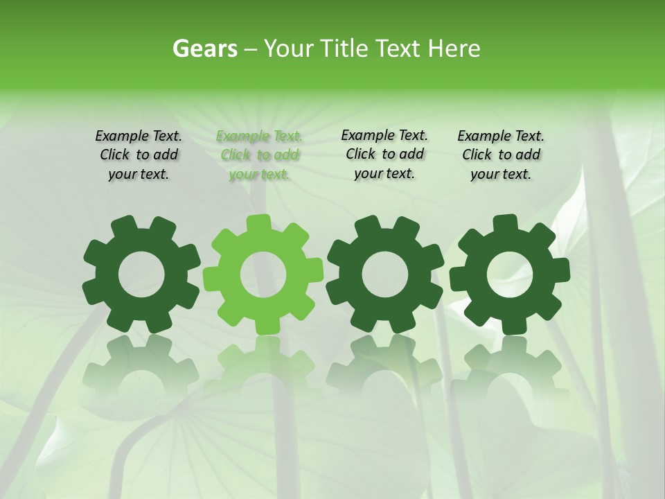 Background Waterlily Nelumbo_Nucifera PowerPoint Template