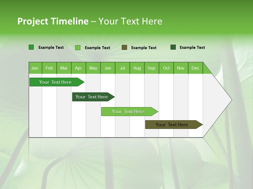 Background Waterlily Nelumbo_Nucifera PowerPoint Template