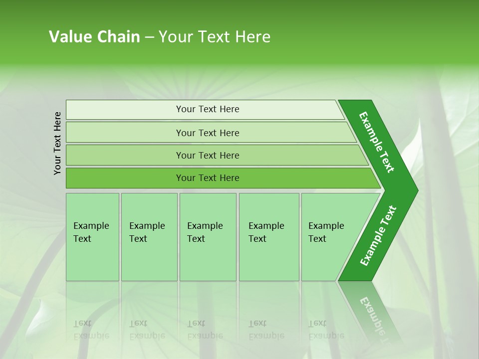Background Waterlily Nelumbo_Nucifera PowerPoint Template