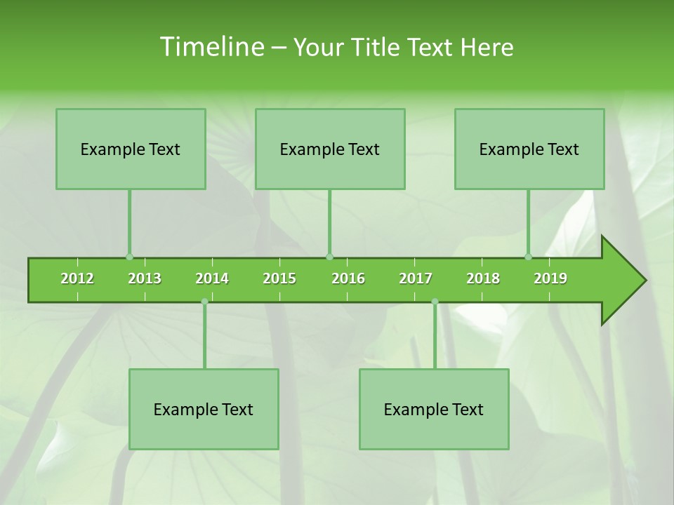 Background Waterlily Nelumbo_Nucifera PowerPoint Template