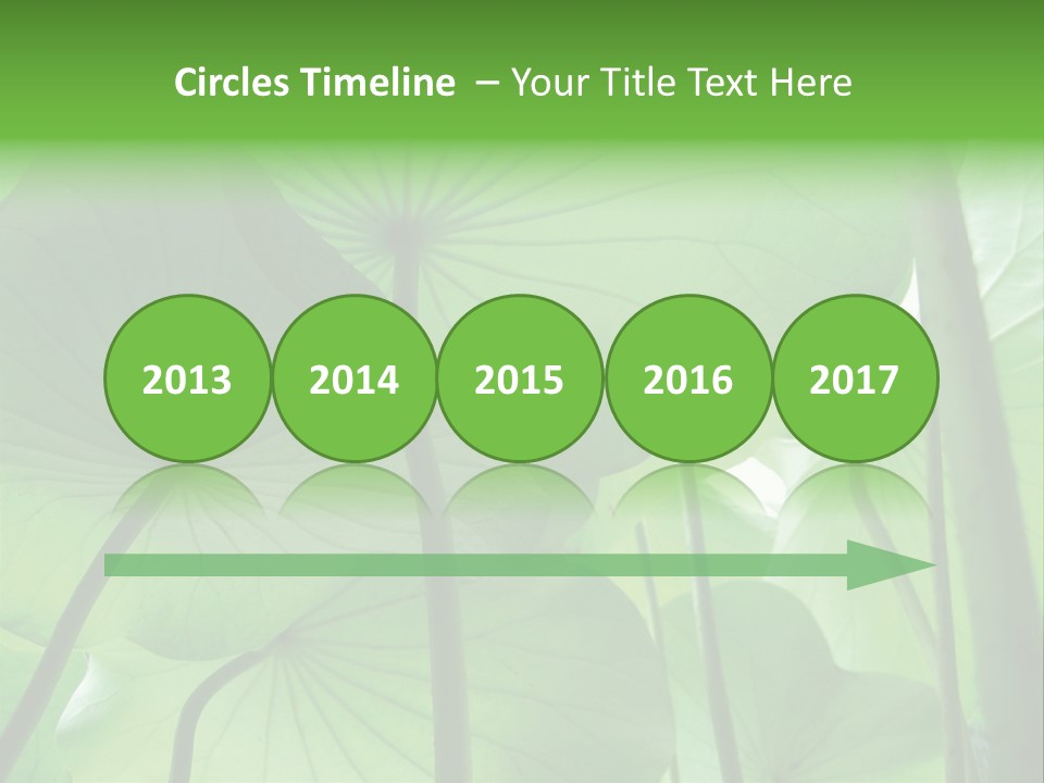 Background Waterlily Nelumbo_Nucifera PowerPoint Template