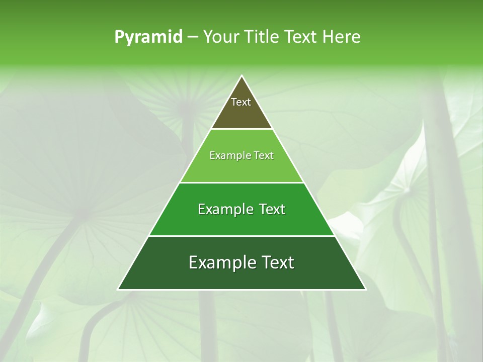 Background Waterlily Nelumbo_Nucifera PowerPoint Template