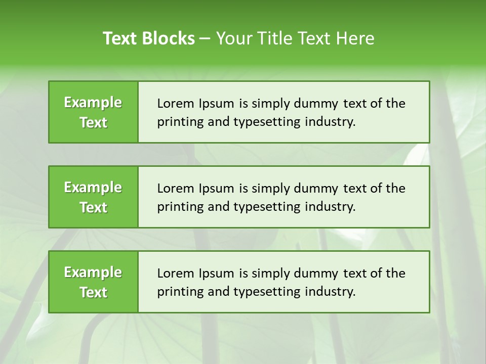 Background Waterlily Nelumbo_Nucifera PowerPoint Template