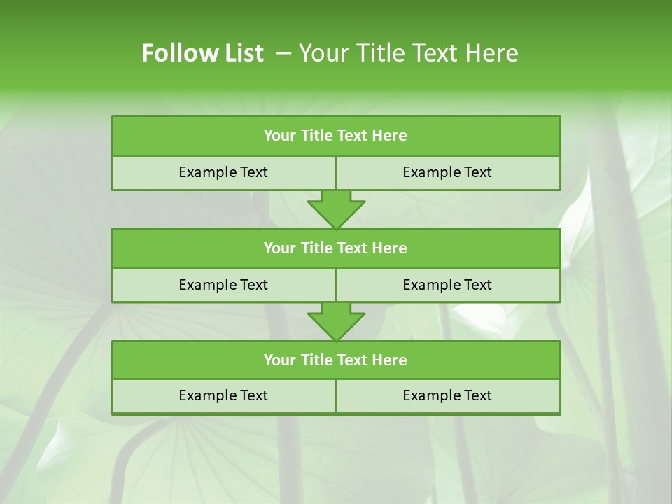 Background Waterlily Nelumbo_Nucifera PowerPoint Template