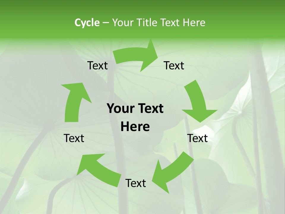 Background Waterlily Nelumbo_Nucifera PowerPoint Template